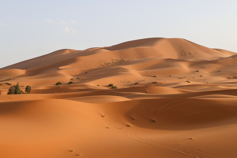 Sahara Desert